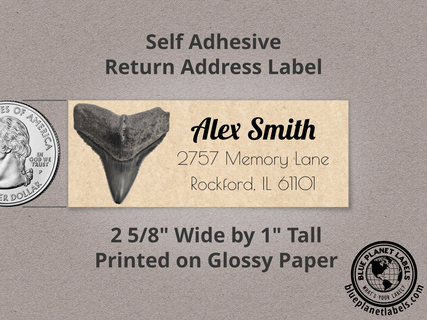 Shark Tooth Personalized Return Address Labels