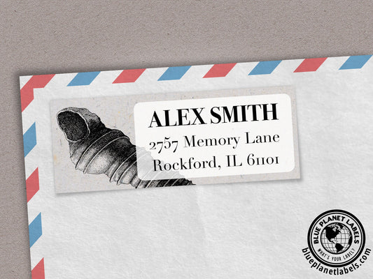 Auger Sea Shell Personalized Return Address Labels
