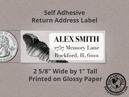 Auger Sea Shell Personalized Return Address Labels